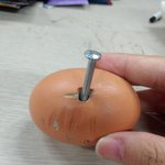 +++후기추가+++ 여러분은 <b>나무</b>계란을 아십니까?