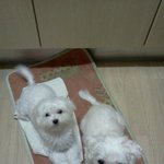 사이좋은 <b>모녀</b>~~^^