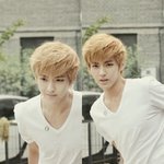 [EXO] 사생한테도 친절하다는 크리스 