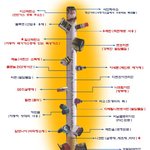 담배피는 여자들중에서 정상인은 없다.