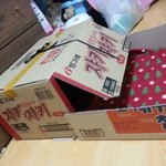 [2탄] 애가 애를 낳다니!ㅋㅋ 사랑스러운 고양이 아가들 보고 힐링하세요