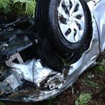 뉴질랜드에서 뼈를 묻을 뻔한 사연..