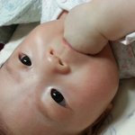 우리집긔<b>요미</b>들입니당