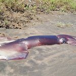 [EXO] <b>FAN</b>..한테 love letter쓰게./