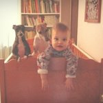 [팔부] 아기와 <b>동물</b> 20