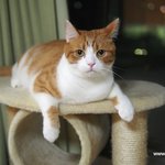 유봉이 바지(유봉이네)
