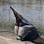 [에프티] 숨은 <b>최종훈</b>찾기