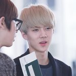 [EXO] 근데왜세훈이글은안올라와요ㅠㅠ?