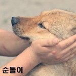 <b>입양</b>이 간절한 아이들