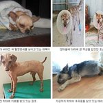 병원비 마련에 힘을 보태주십시오