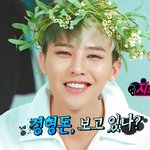 [빅뱅] 유난히 촉쵹ㄱ한 지디 더샘짤