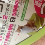 고양이 화장실을 삼 그런데 유봉이가 ㅋ