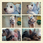 <b>성냥</b>팔이소녀로 변신!!^~^