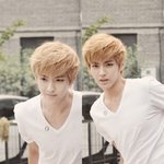 [EXO] 여러분 크리스는 <b>전말</b> 잘생긴듯여