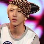 호피<b>무늬</b> 패션의 아이돌 모음