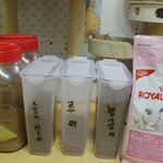 [개냥하우스] 여기가 사람 집이야 <b>동물</b>의 집이야? 7탄