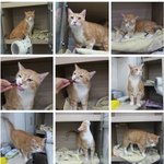 [<b>인어</b>공주] 5살이 되도록 가족을 못만나고 있는 방울이
