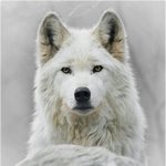 [남자의심리] 나쁜 남자 <b>vs</b> 착한 남자