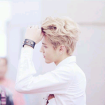 [EXO] <b>님들</b>최애누구에요