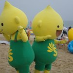 구도일~ 에쓰<b>오일</b>의 마스코트를 해수욕장에서 만났답니다~