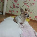 <b>아오</b>ㅠ