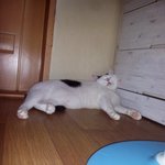 [용배꾸르밍] <b>대두</b> 김용배의 가을은 언제오냐쉬먀