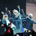 [EXO] 엑소 생명의나무