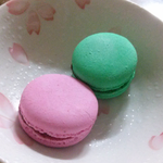 [빅뱅] 지드래곤 콘서투 상.세.한 후기~~~~