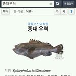 [EXO] 너네불쌍해서종대<b>증사</b>푼다