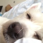 [미대언니] 전설의 조소과 2(범인은 <b>뉴규</b>?)