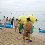 경포대 <b>해수</b>욕장에 왔었던 구도일!!! 완전 귀여워요!