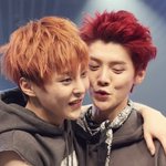 [exo] 엑소케이랑 엠 너무 구분하지않았으면