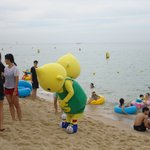 에쓰<b>오일</b>의 구도일을 만났었답니다~ @ 경포대 해수욕장!!