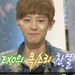 [EXO] 박찬열 개귀엽네ㅋㅋ