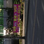 방금 <b>집앞</b>에서 찍은거