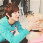 [EXO] 백퍼 엑소는 판봄ㅋㅋㅋ
