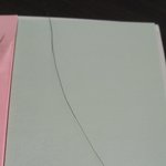 혹시 <b>금색</b>머리나는분 있노요