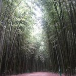 [다이어트] 전설의 <b>러너</b>가 추천하는 러닝코스!