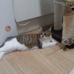 [우람이] <b>요염</b>한자태는 바로 우월한기럭지에서~