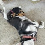 [<b>토토</b>] <b>토토</b>,로트 잘~~잡니다 ㅋㅋ