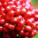 진생베리 나와라 뚝닥! '액티브에<b>이징</b>' 하게 사는법!