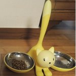 이 고양이<b>식기</b> 좀찾아주세요ㅠ.ㅜ