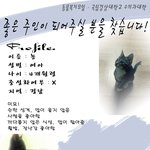 [유기묘입양] 보호중인 유기묘 입양 원하시는분 (<b>진주</b>)