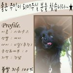 [강아지분양] (<b>진주</b>) 시리우스의가족이 되어주실분~