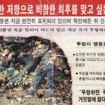 북핵보다 무서운건...