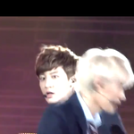 [EXO] 한류콘서트박찬열보고놀램