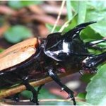 생활속 과학 이야기 2013생명산업대전