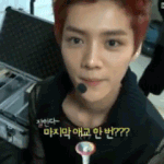 있잖아왜엑소가열애설많은지알아??