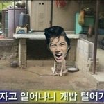 [EXO] 엑소 <b>수상</b>소감 팬언급