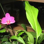 해운대요가, <b>동남</b>요가학원